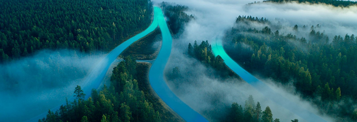 metsämaisemassa usva muodostaa virtoja