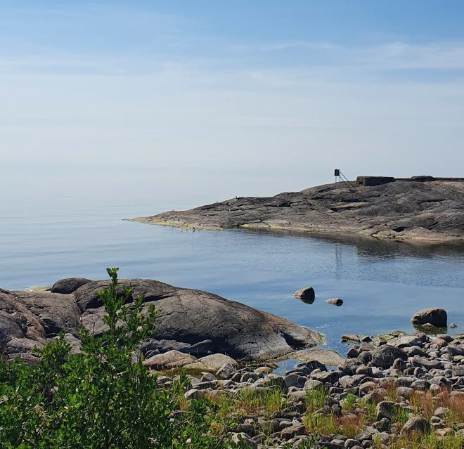 Lääkkeetön Itämeri blogikirjoitus