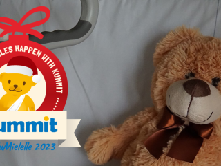 Tamro´s Christmas donation supports children's health in Finland